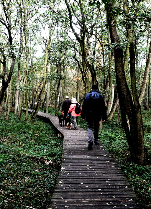 Lehrpfad durch den Nationalpark